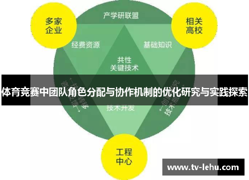 体育竞赛中团队角色分配与协作机制的优化研究与实践探索